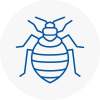 Bed Bug Extermination In Elland